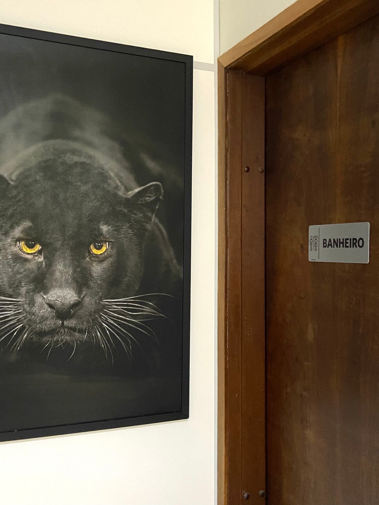 David William Pinheiro Cecy-10