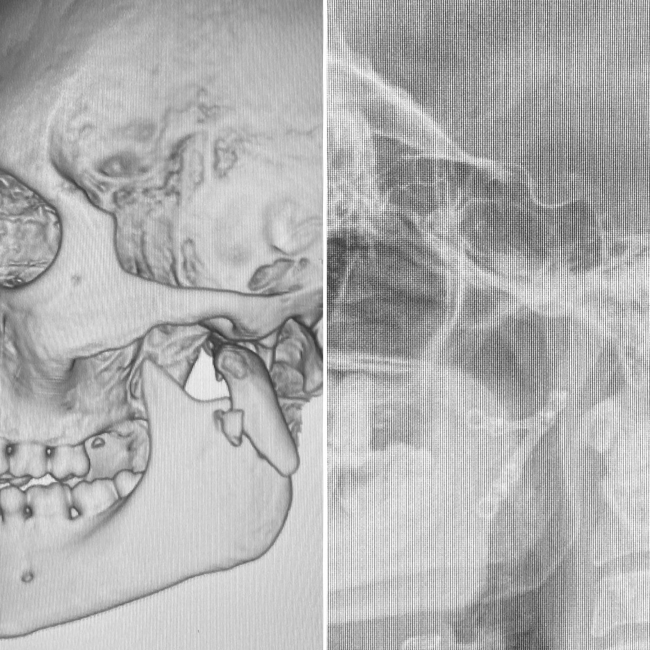 Jose Vicente Rocha Fernandez-34