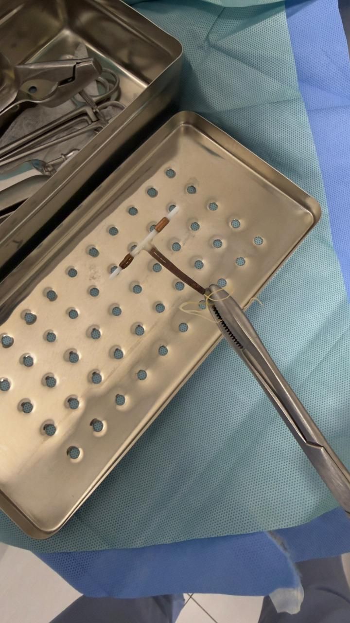 Mayara  Victoria De Sousa Silva -1