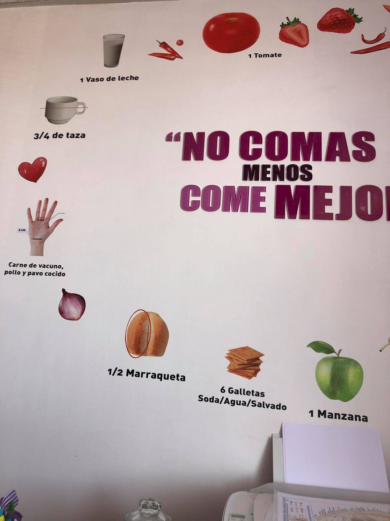 Camila Paz Alarcón-7