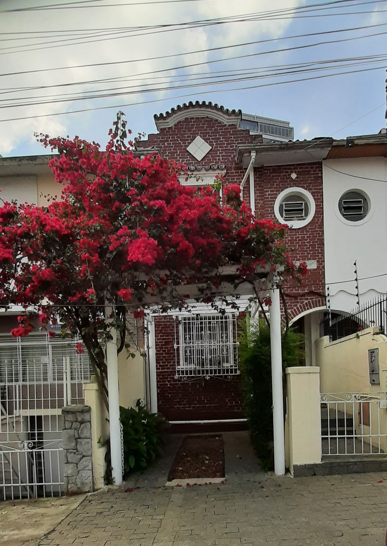 Aurora Maria Giusti Da Silva-13