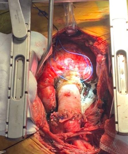 Maria Cristina Rezende-2