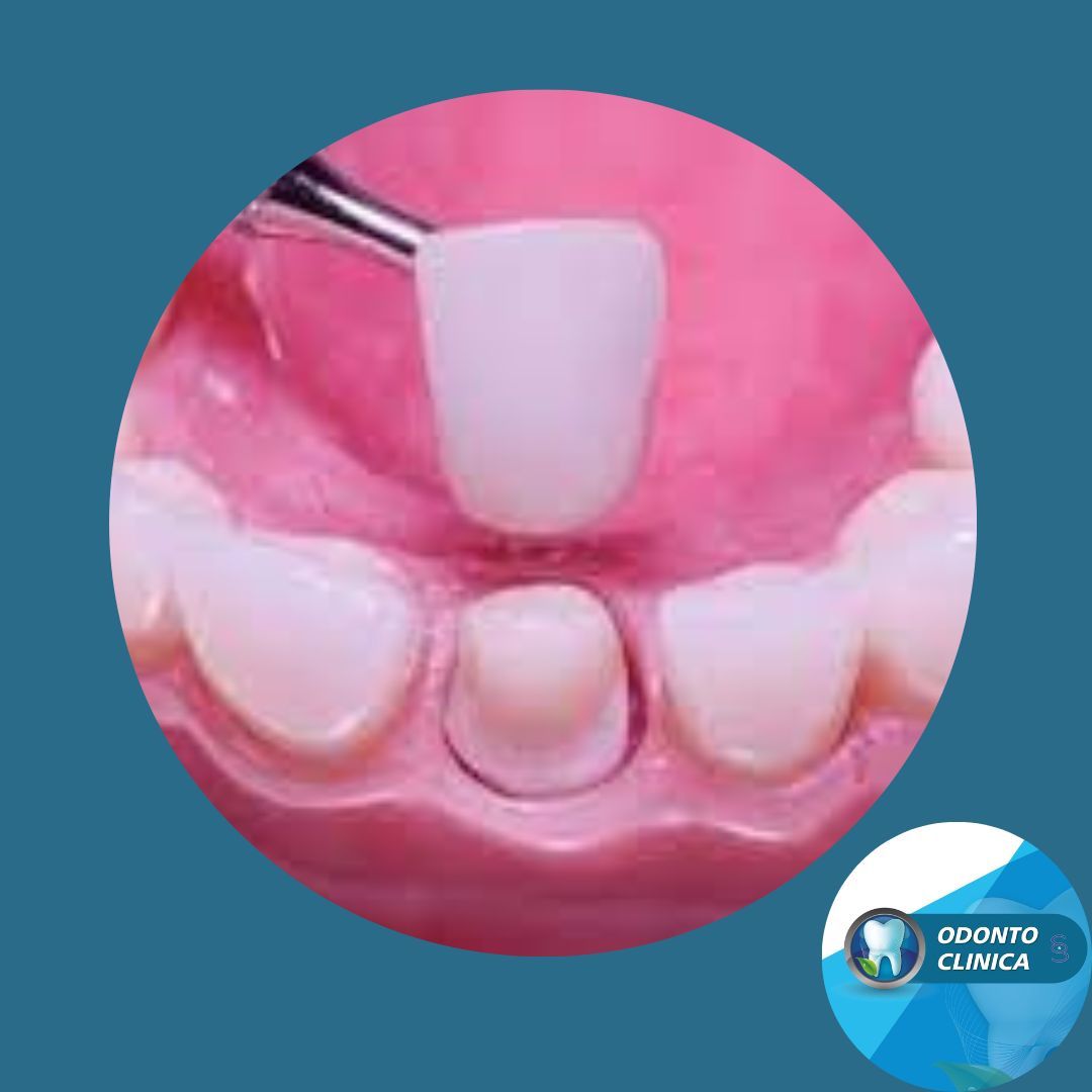 Cecilia Inés Socias Altamirano-18