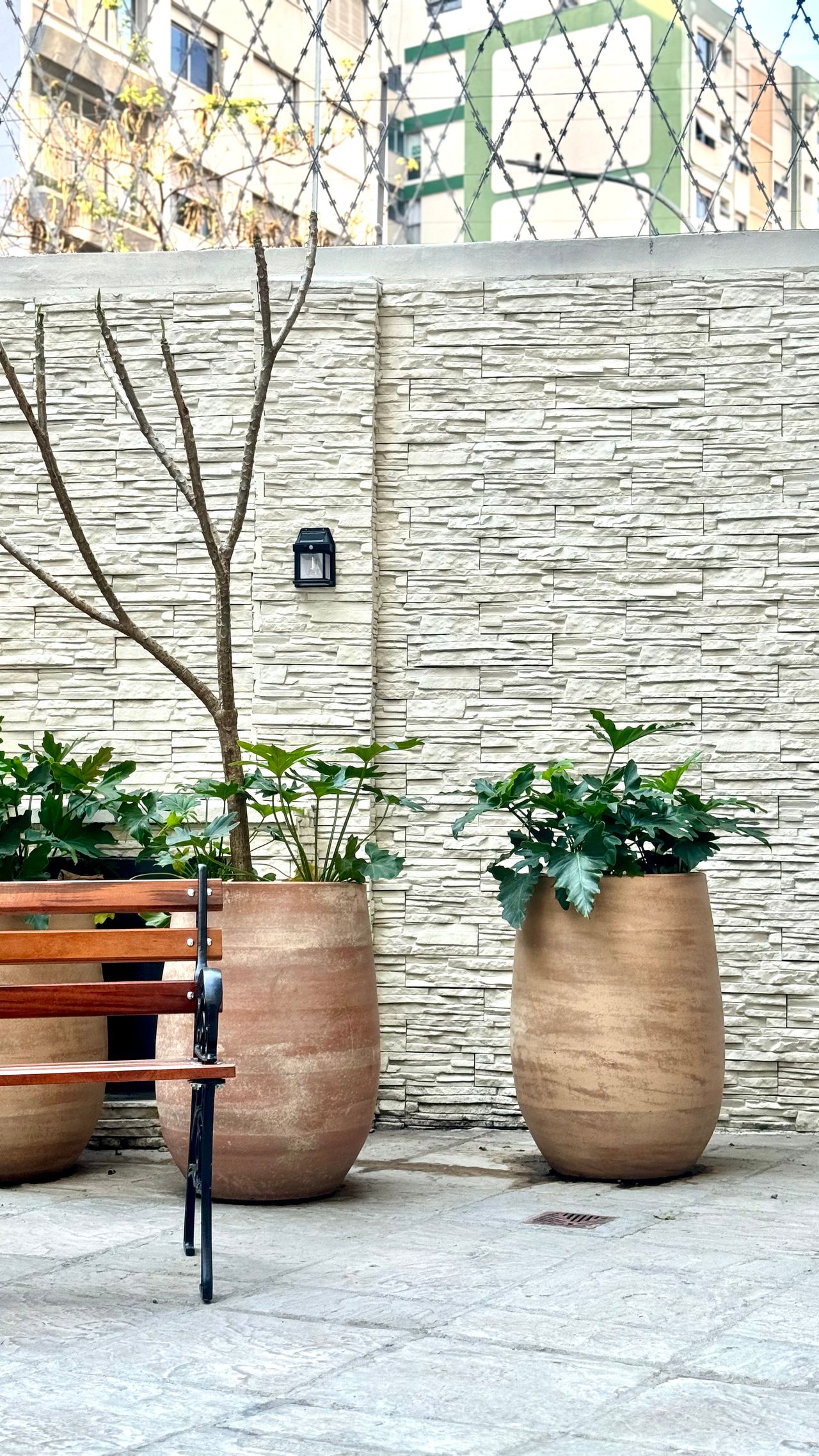 Guilherme Ismael Penteado Steagall Gertsenchtein-12