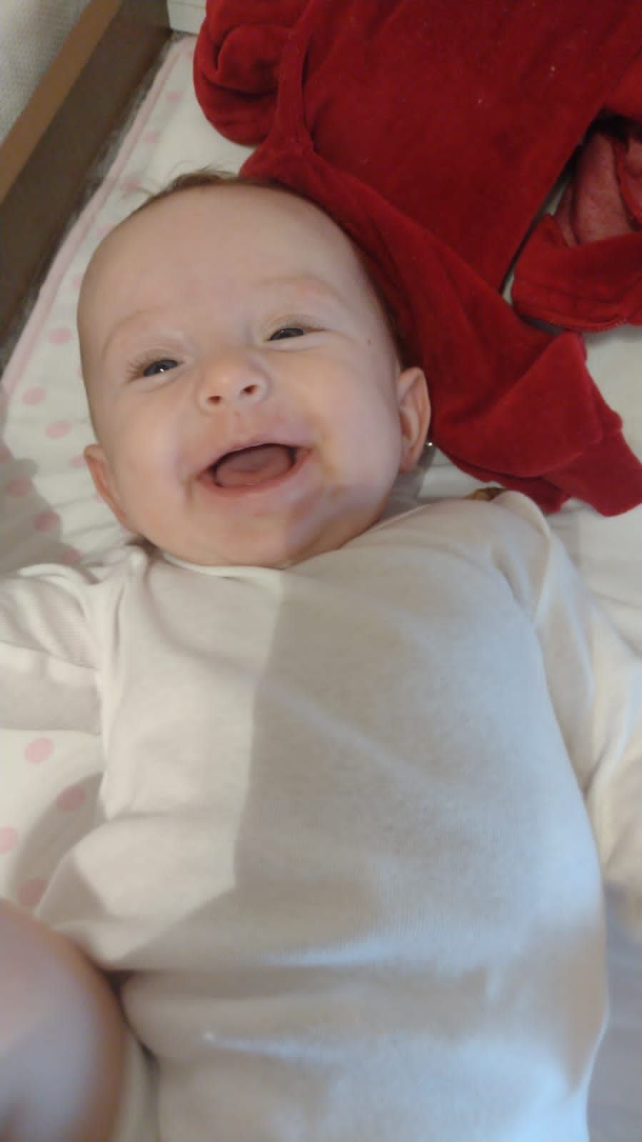 Luis Felipe De Camargo-22