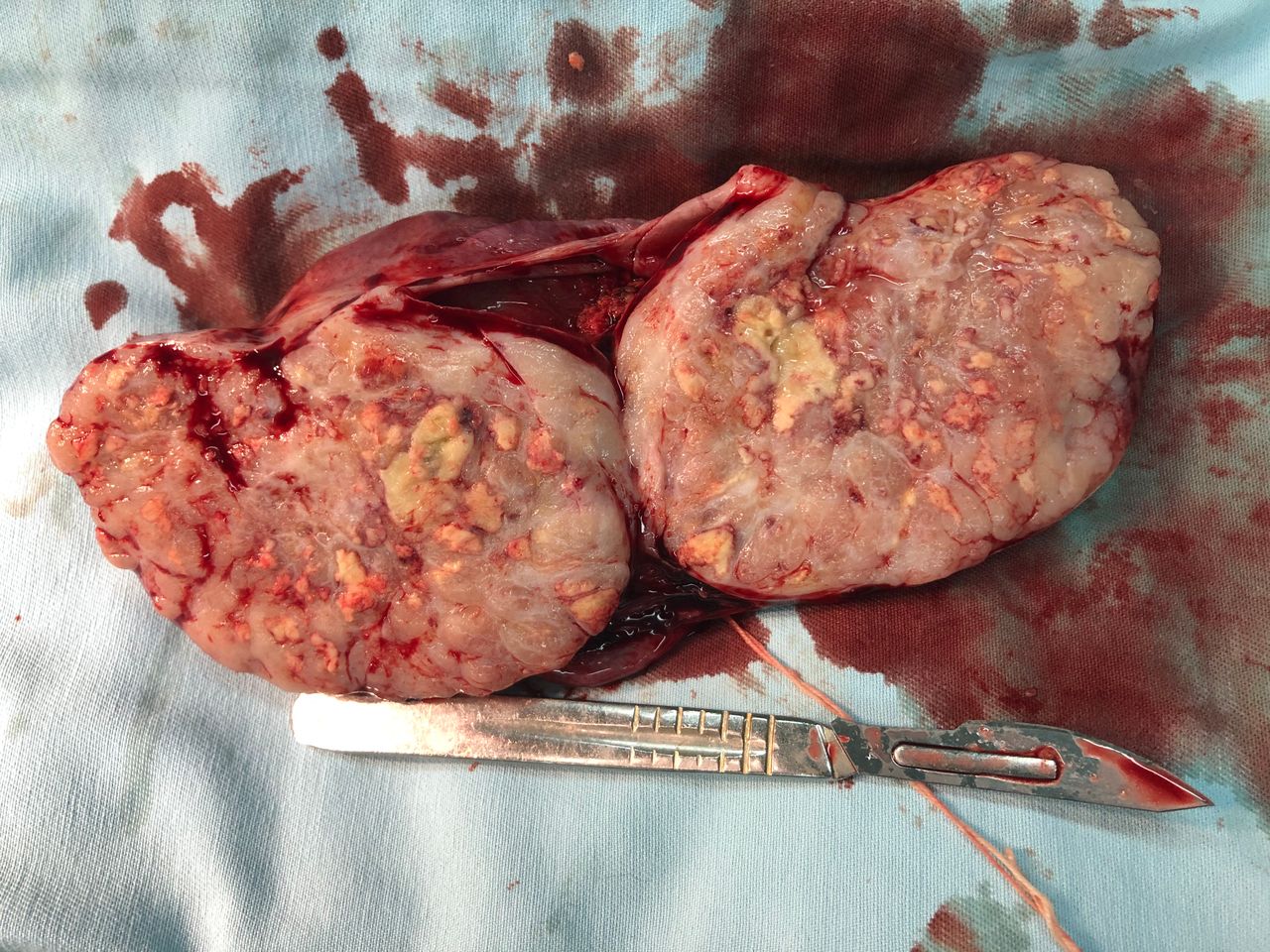 Raúl Federico Larcade-8