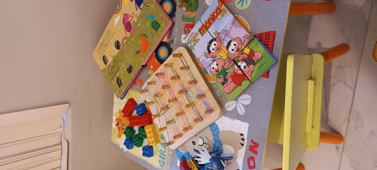 Fabiana Ribeiro Da Cruz Parizotto-1