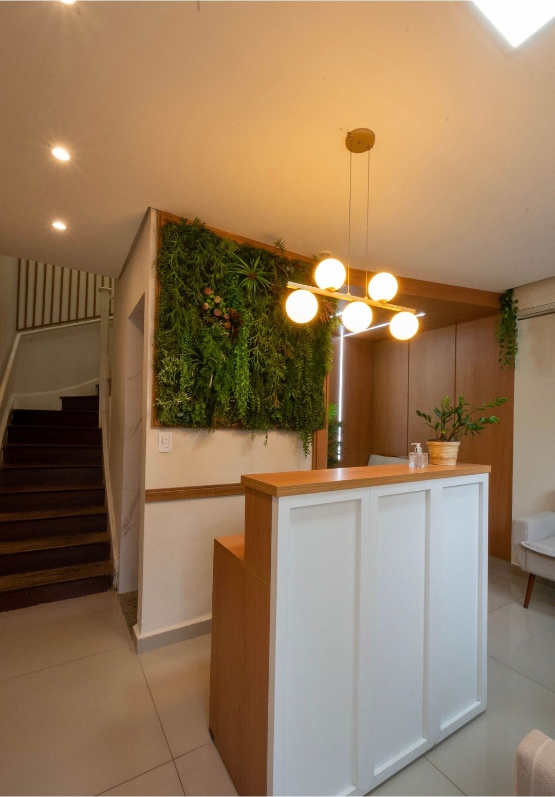 Pedro Henrique Faria Denofrio-1