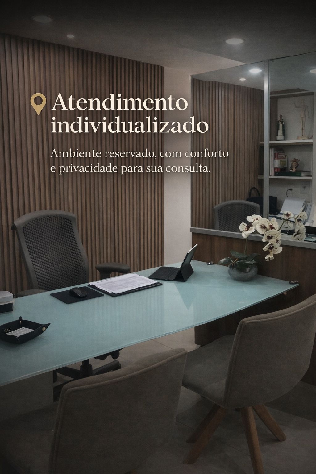 Davi Vieira Ferreira-1