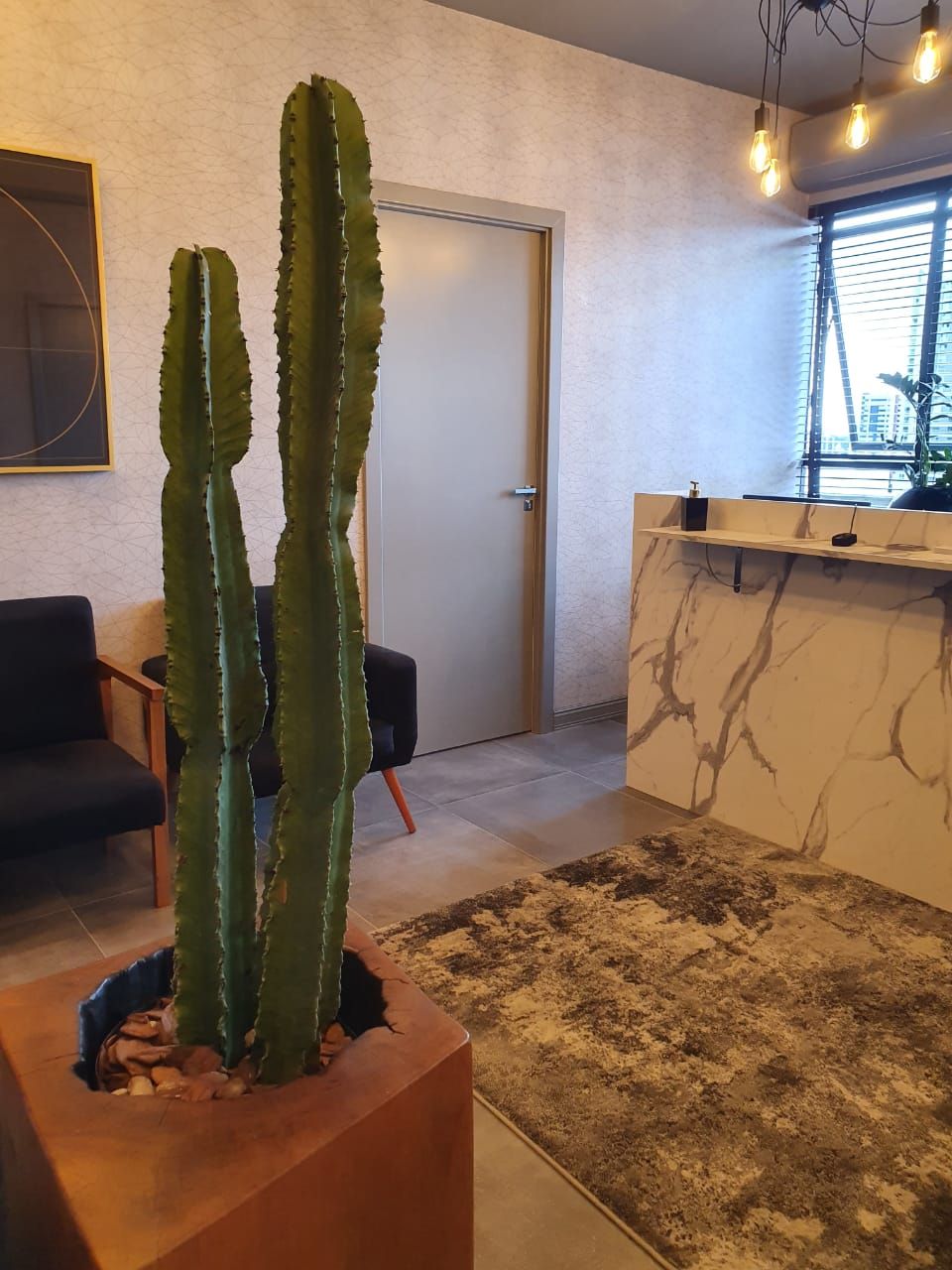 Marco Antonio Gimenez Lopes-10