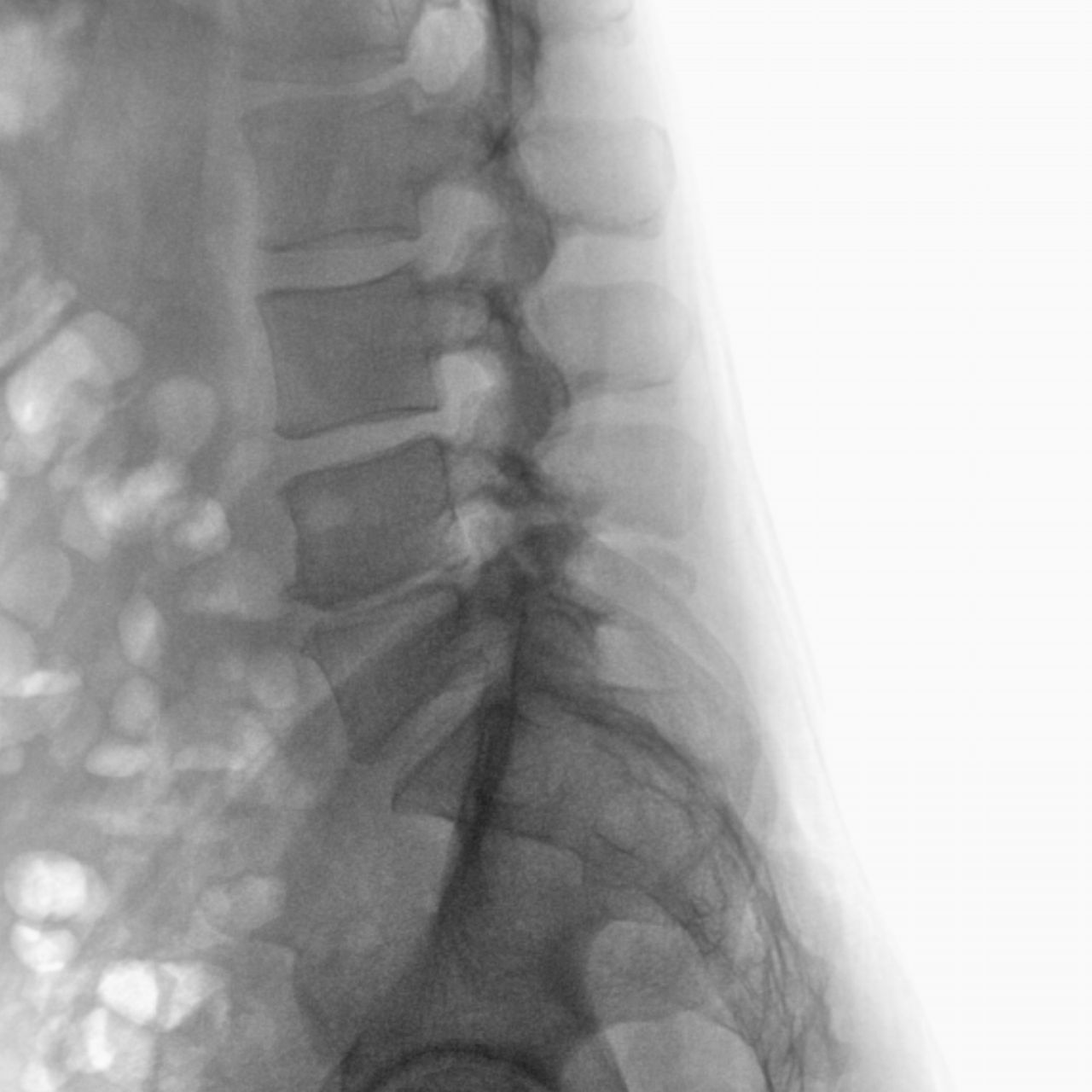 David Tafur Muñoz-1671