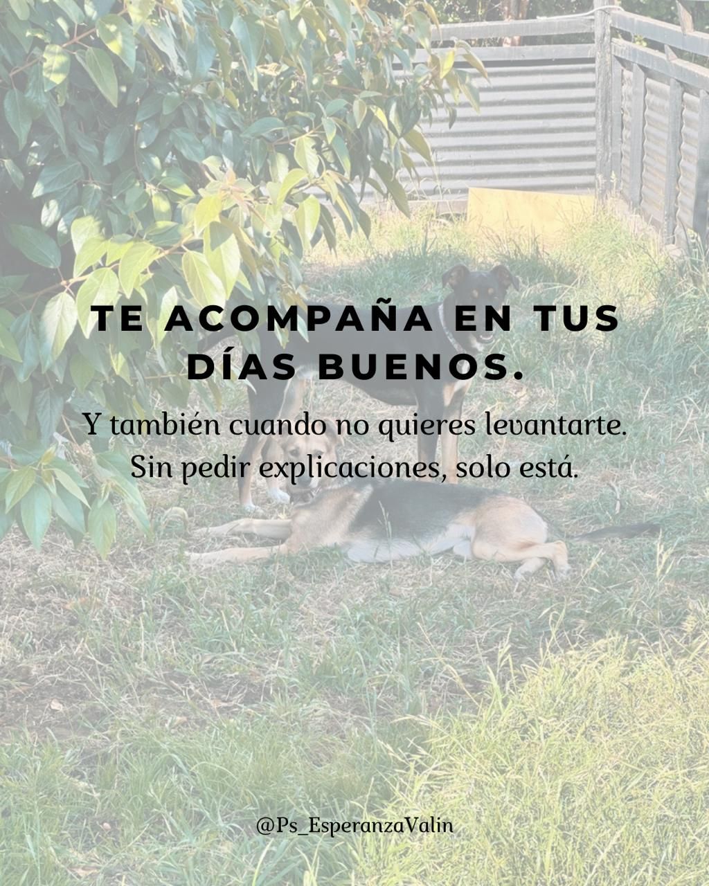 Esperanza Lagos Valin-7