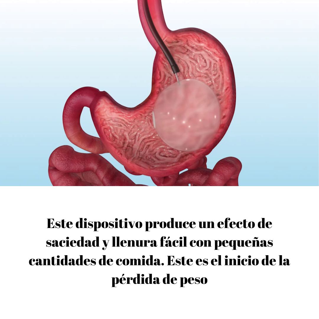 Luis Gerardo Villota Gonzalez-8