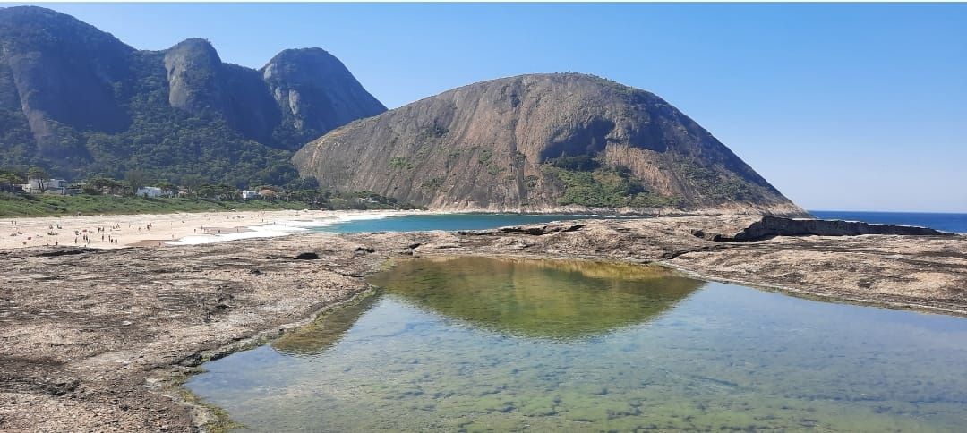 Ana Patricia C. P. De Campos-4