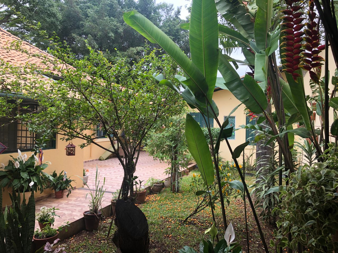 Priscila Raposo Do Amaral Manuchaguian-3