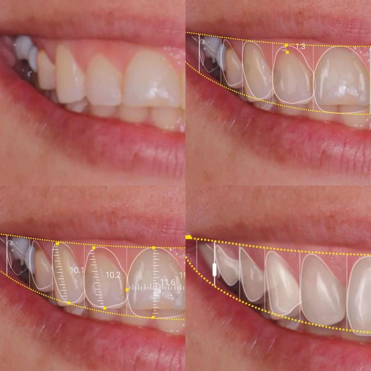 Luis Muñoz Tolhuysen-4