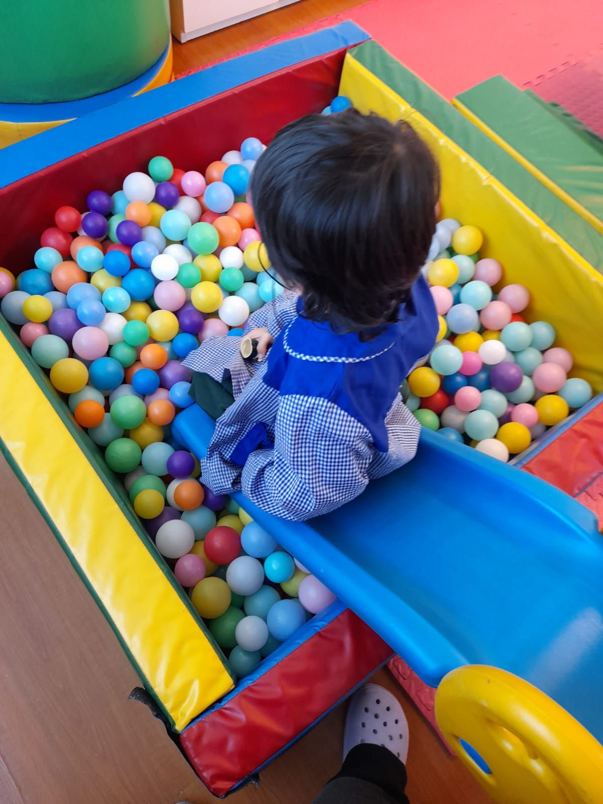 Daniela Garrido J.-3