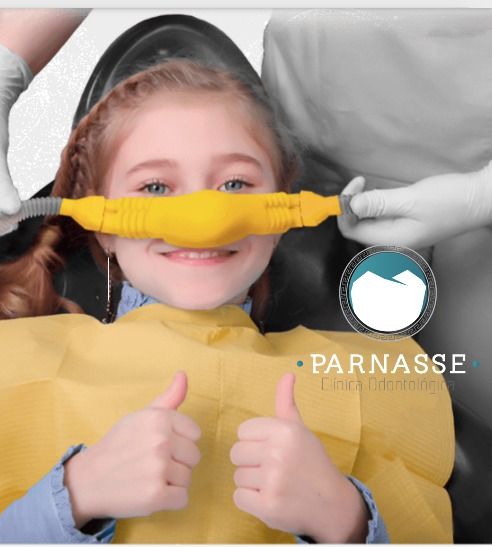 Gustavo Boehmer Leite-4