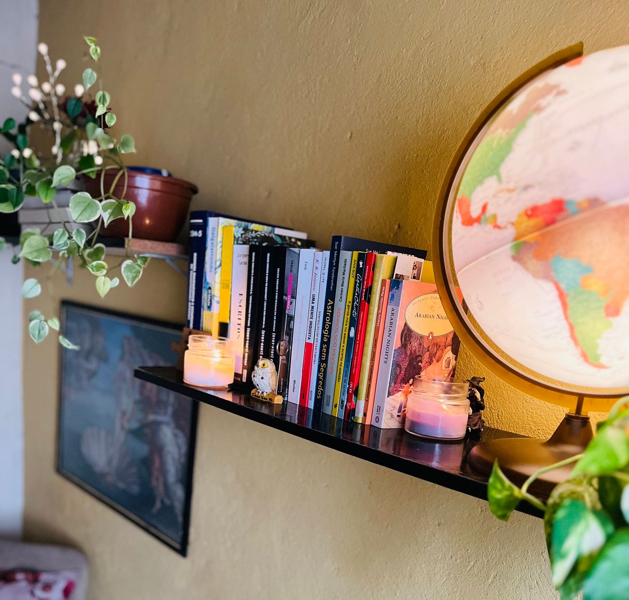 Ana Paula Paiva Santos-3