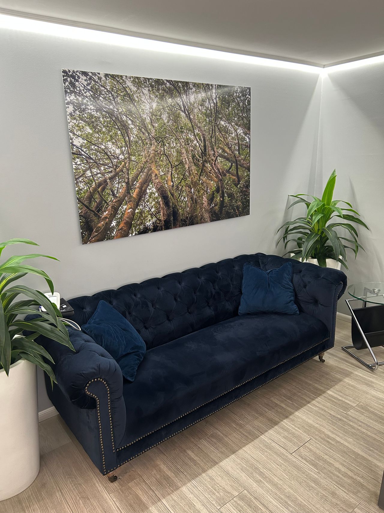 Hermann Appelt Vega-4