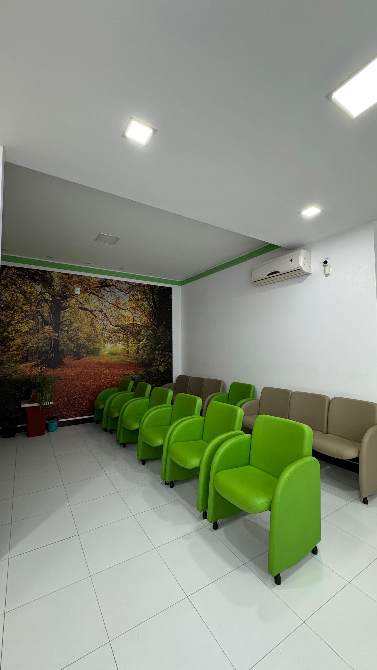 Anna  Tereza Matos Alves Dos Santos -6