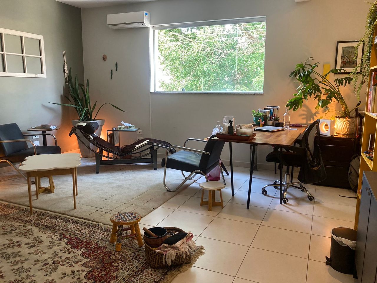 Fernanda Draganov Gelesko-2