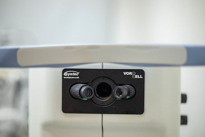 Thais Helena Moreira Passos-0