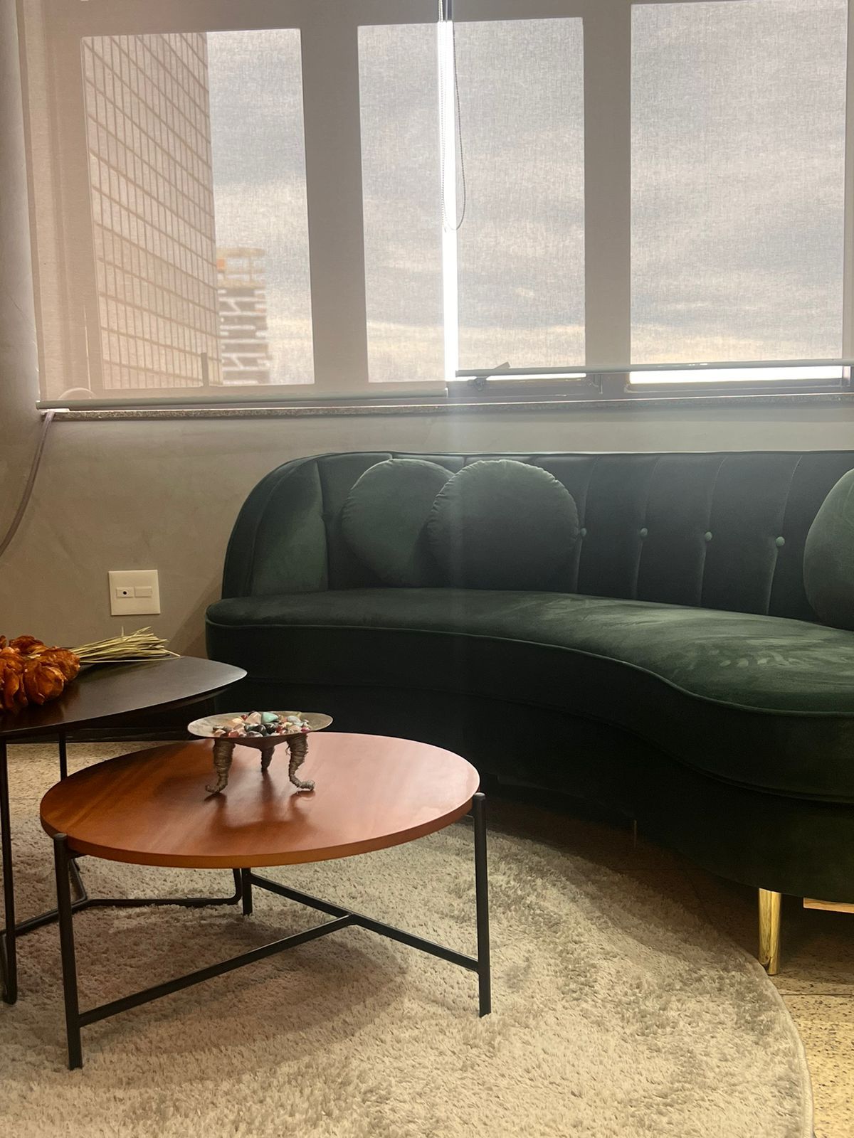 Fernanda Poliana Santos Pessoa-2