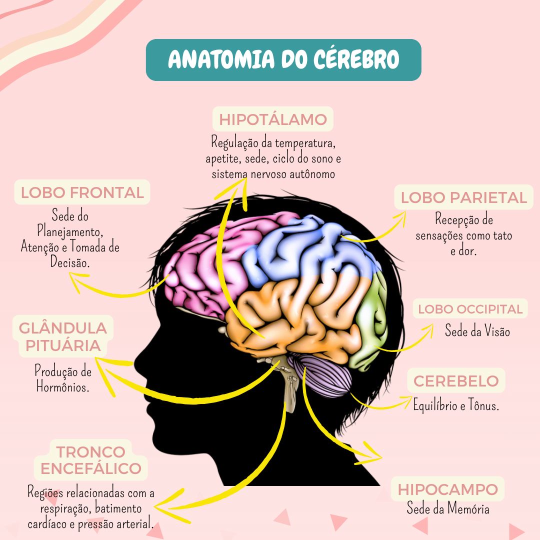 Rafaela De Arruda Custódio-4