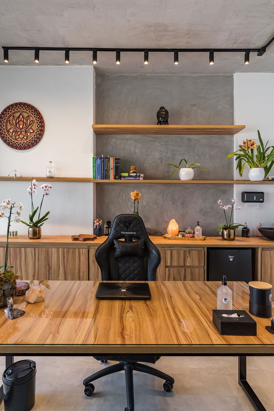 Sandra Regina Pinheiro Lima-8