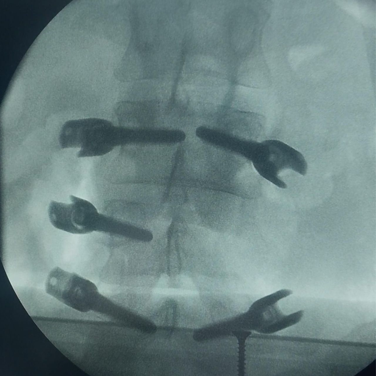 David Tafur Muñoz-1260