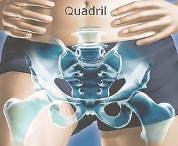 Guilherme Guadagnini Falotico-9