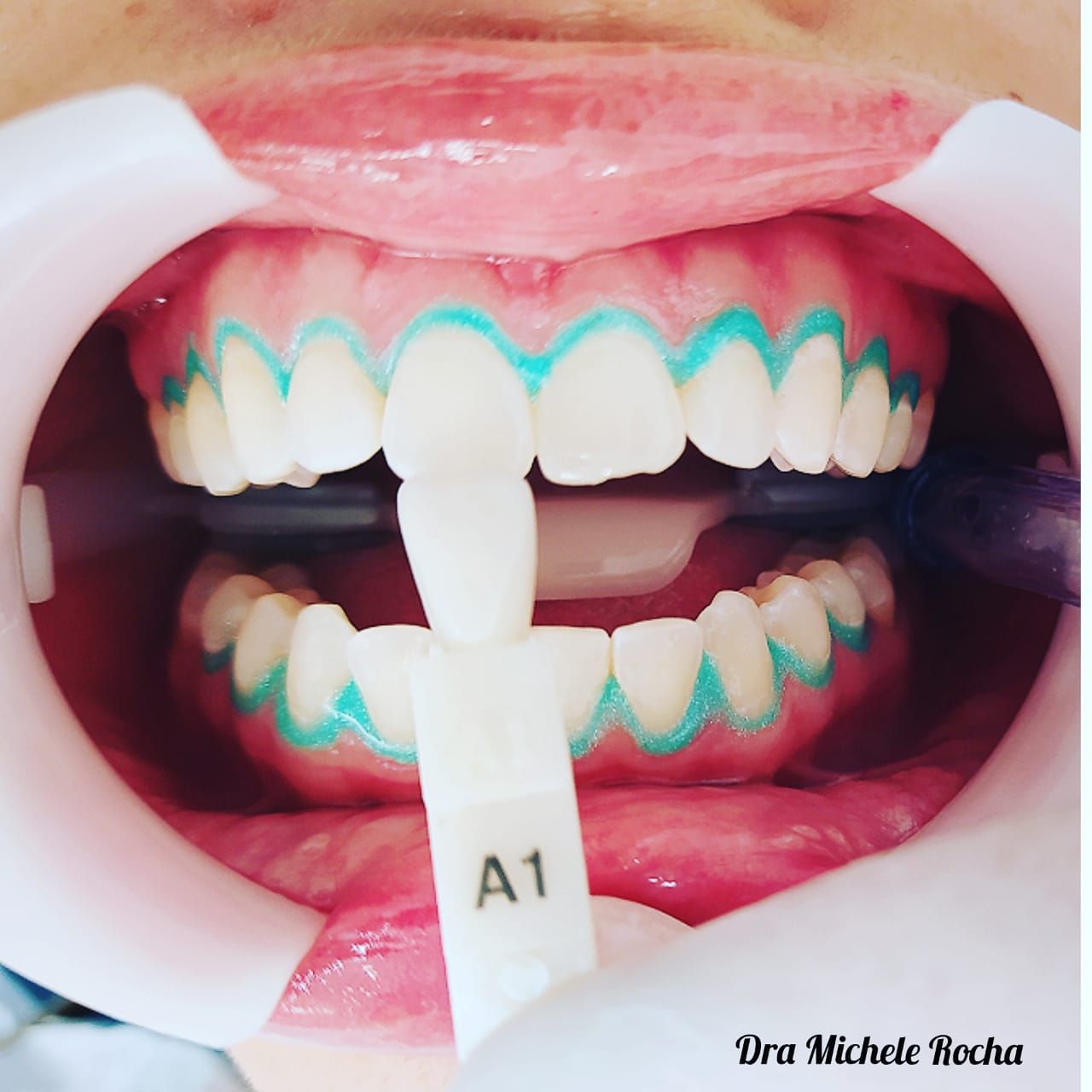Michele Rocha-26