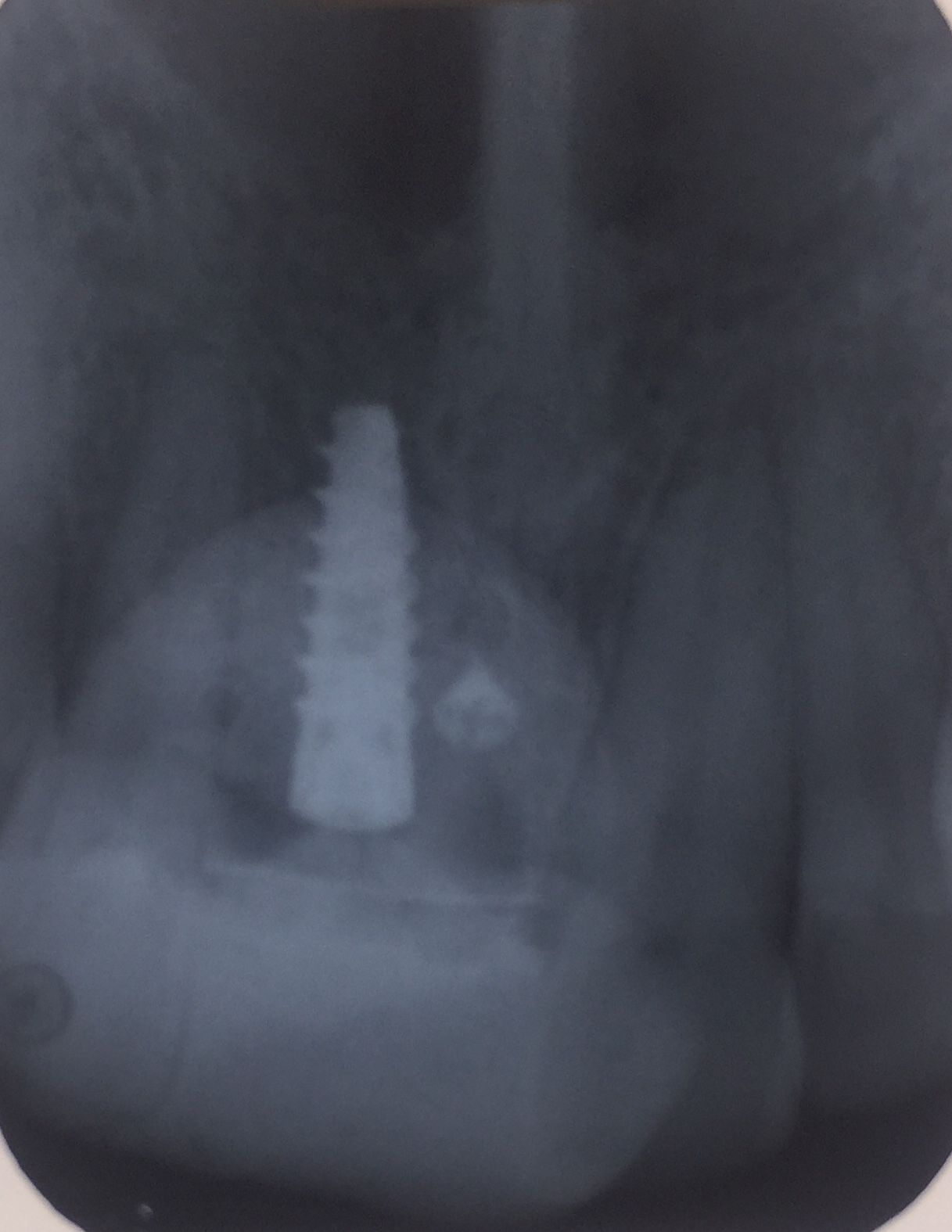 Veronica Maria Barquero Figueroa-11