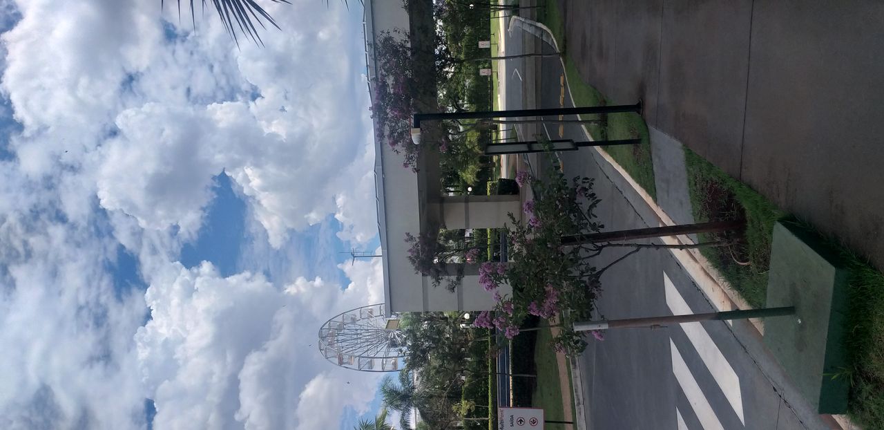 Mary Elly Negrão-12