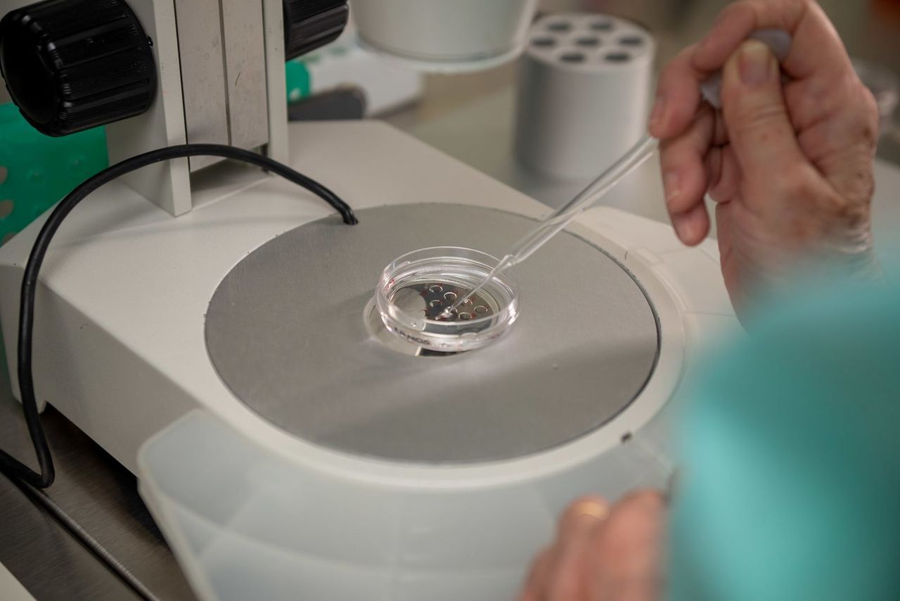 Francisco De Assis Nunes Pereira-21