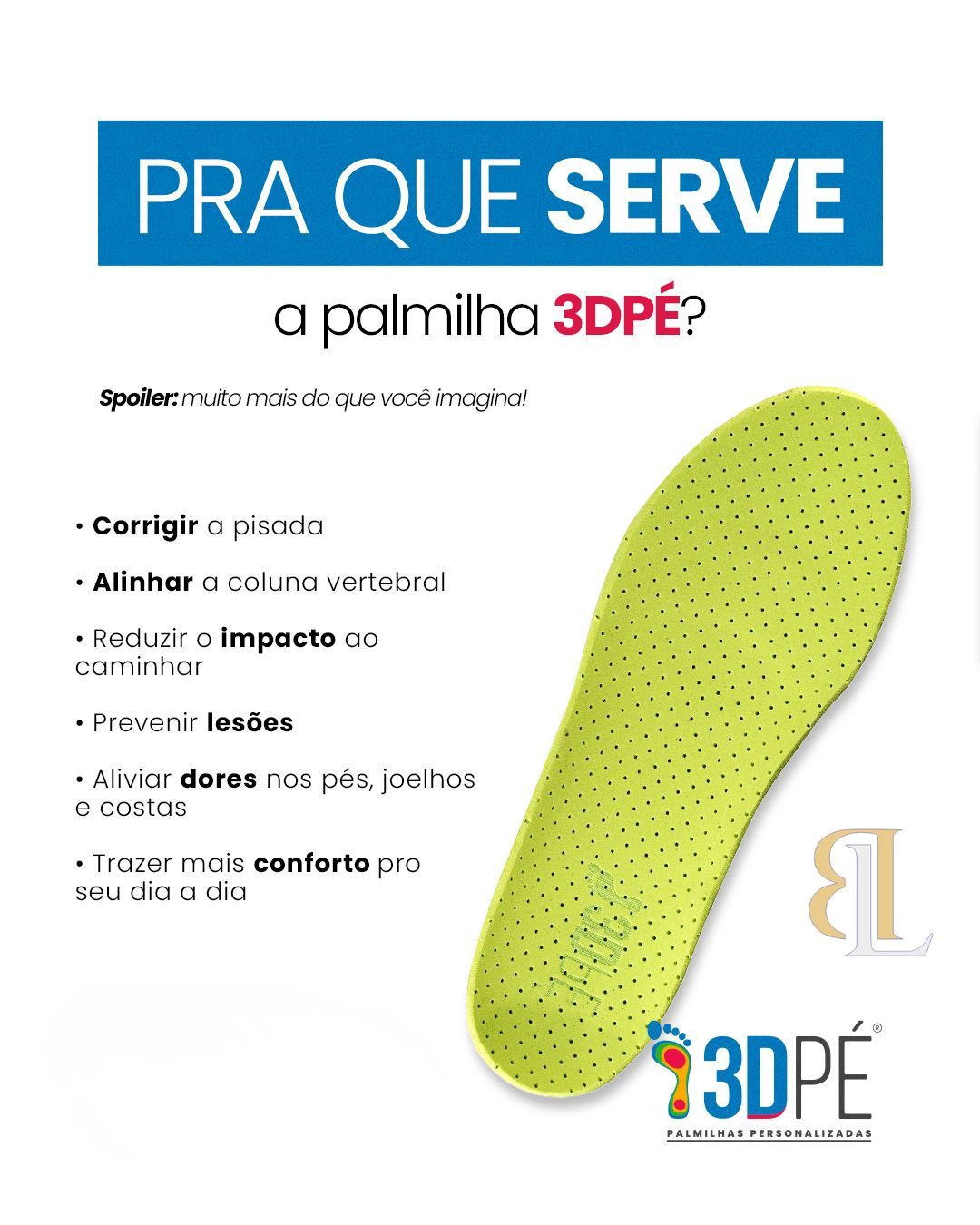 Luiz Felipe Bormann Guedes-5