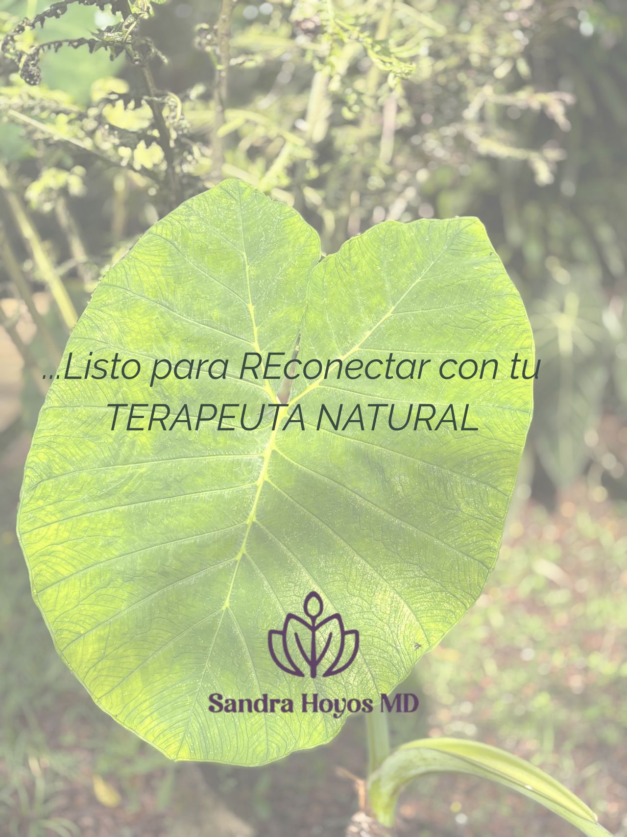 Sandra Hoyos Lopez-1