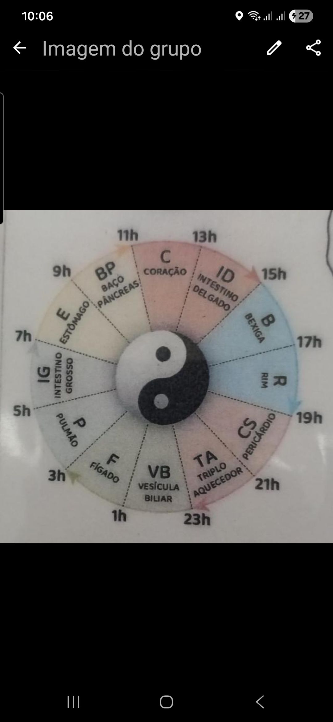 Maria Isabel Freitas Pinheiro-19