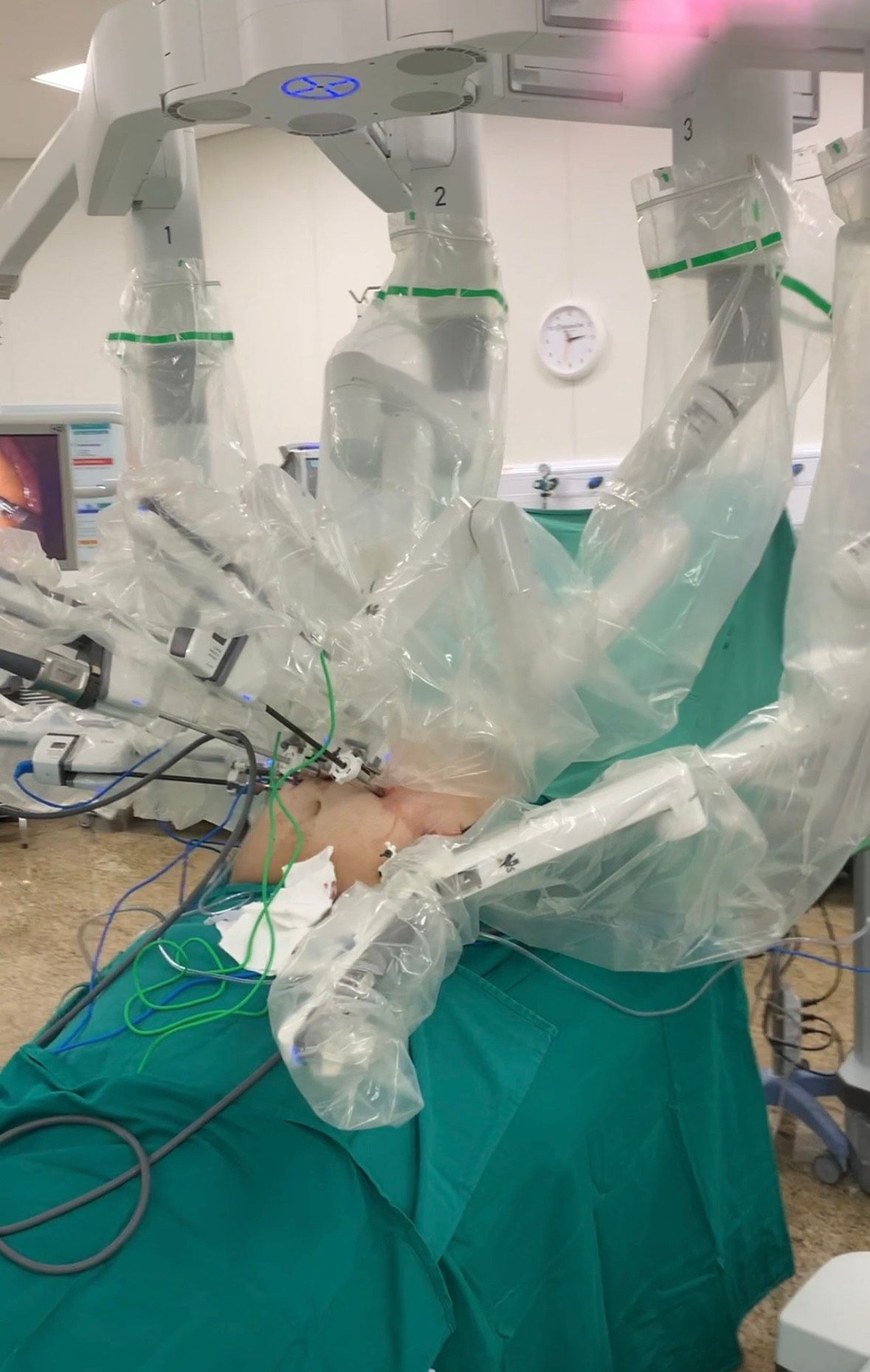 Rodrigo Fabiano Guedes Leite-19