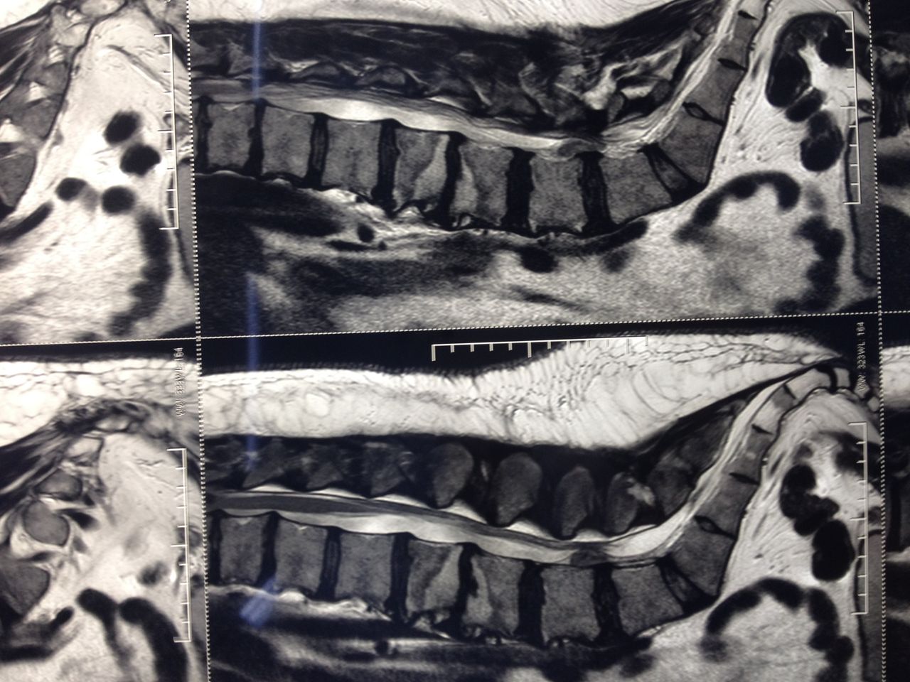 Maxweyd Rodrigues Freire-5