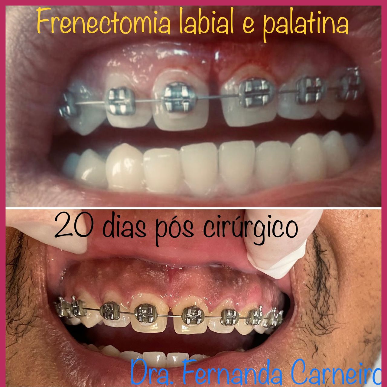 Fernanda Carneiro Pinto-21