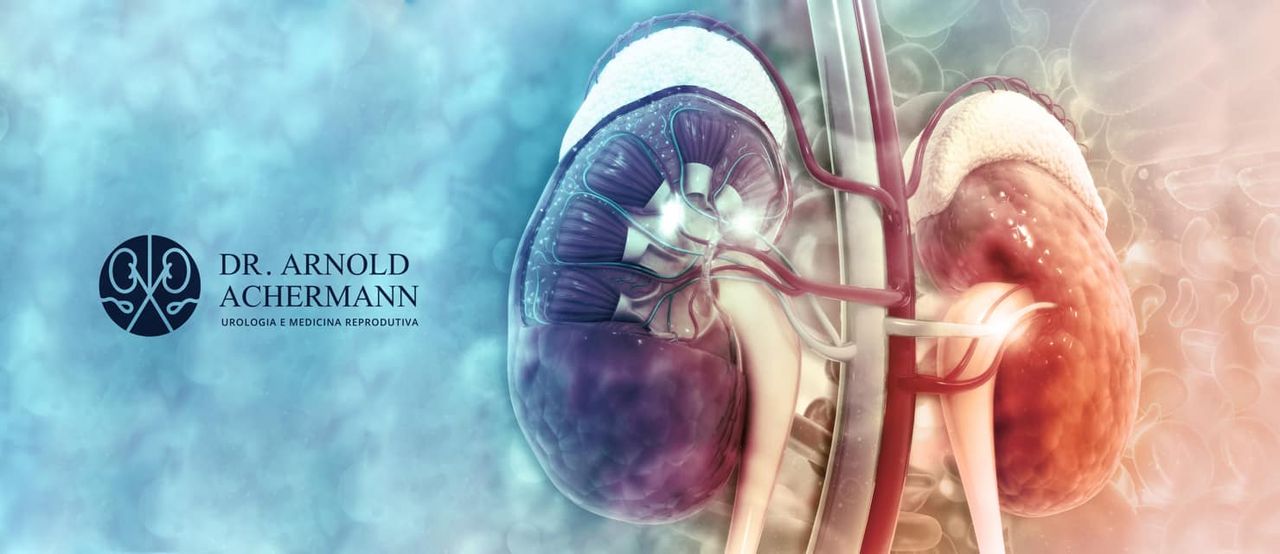 Arnold Peter Paul Achermann-11