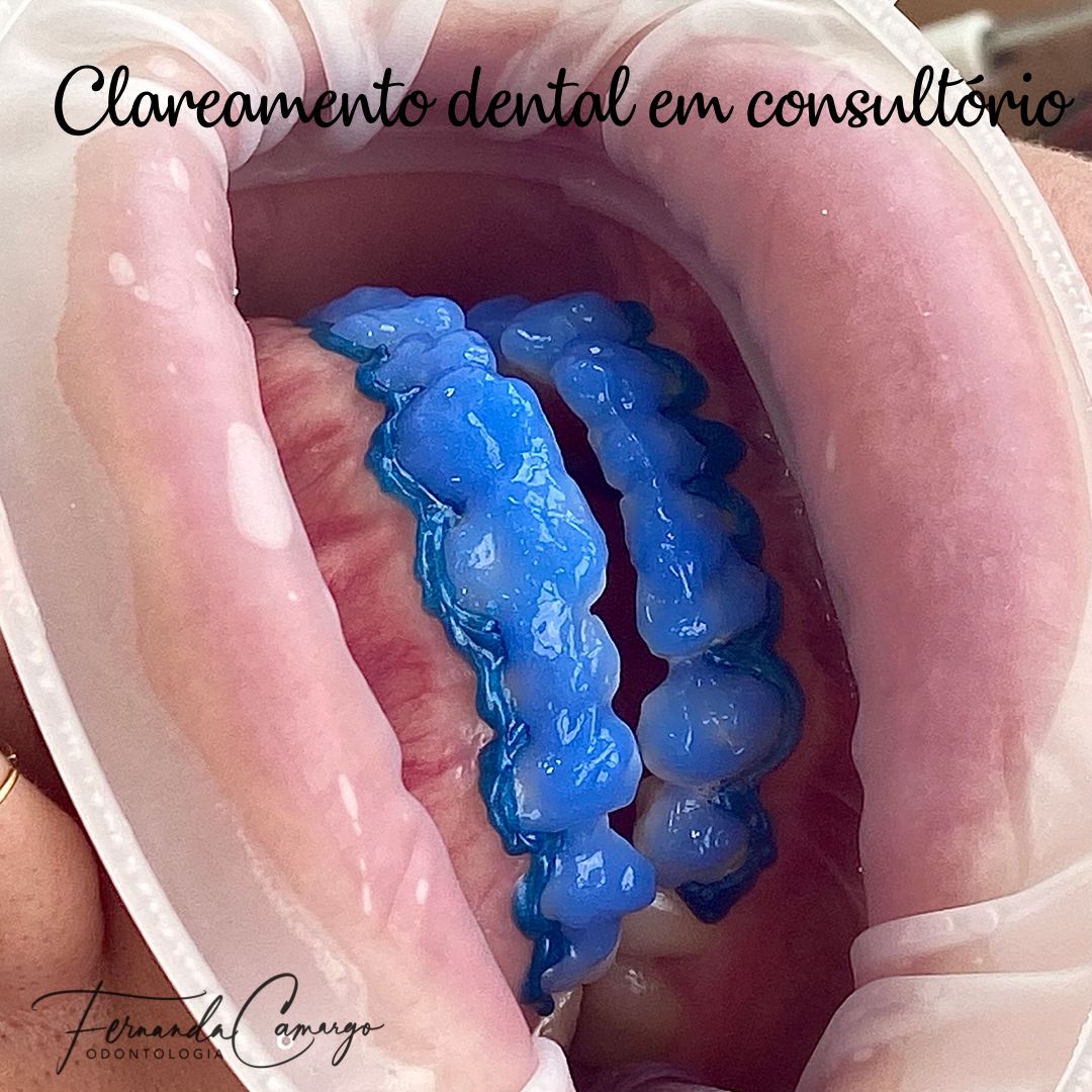 Fernanda Camargo Silveira-7