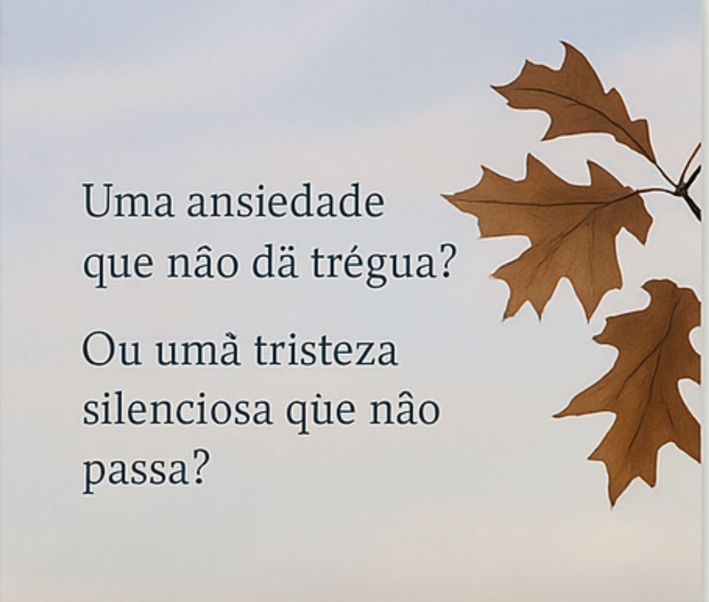 Fernanda Lana De Paula-6