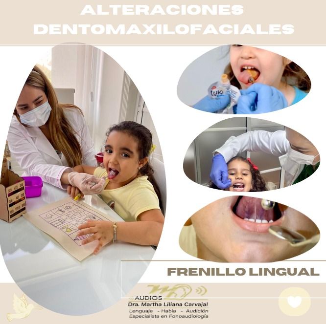 Martha Liliana Carvajal Peña-0