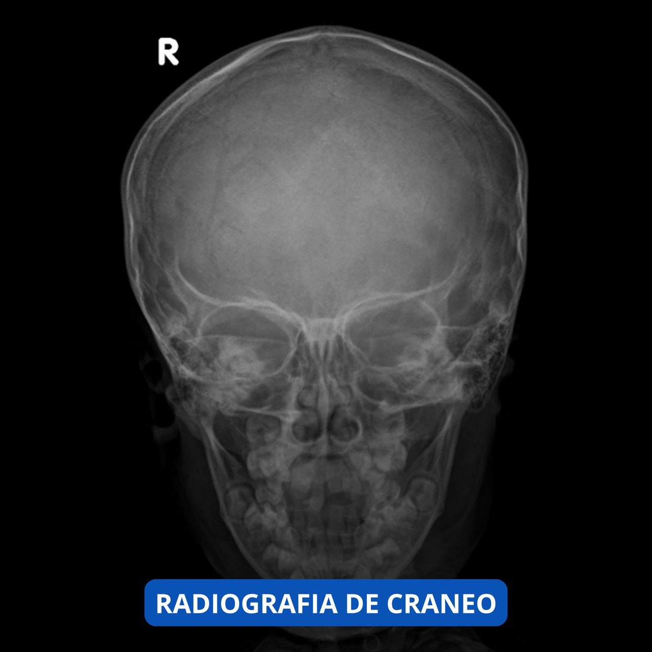 David Tafur Muñoz-1105