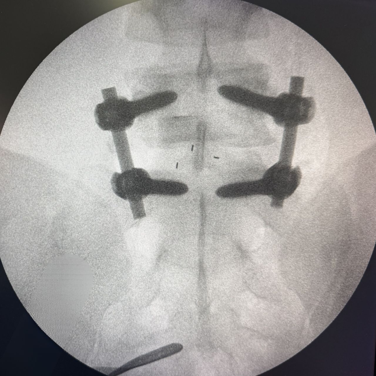 David Tafur Muñoz-2382