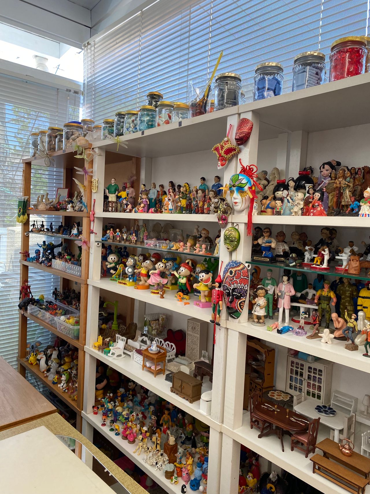 Serafina Aparecida Dumbra Toloni-3