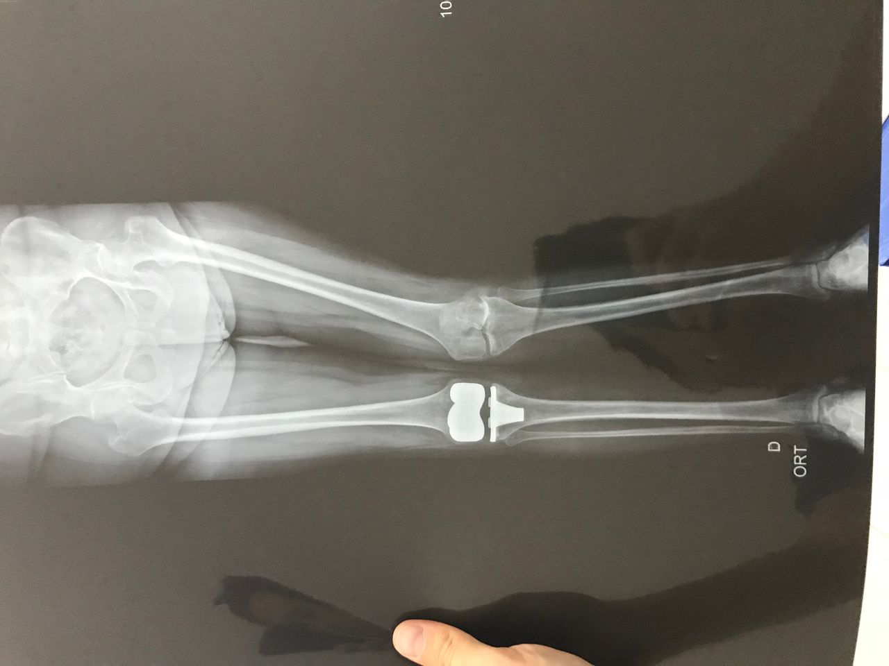 Eduardo Ramalho De Moraes-22